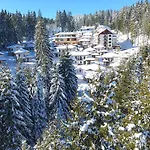 Forest Glade-апартаменти и за гости 3* Pamporovo