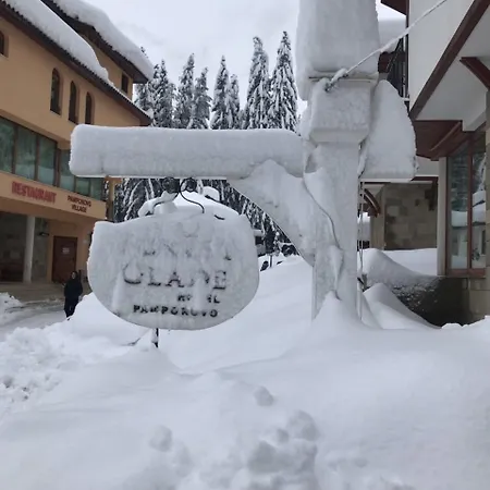 Apartahotel Forest Glade-апартаменти и за гости 3*
