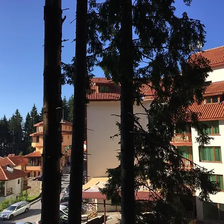 Forest Glade-апартаменти и за гости 3*