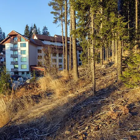 Forest Glade-апартаменти и за гости 3*