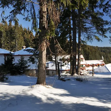Forest Glade-апартаменти и за гости 3* 潘波洛沃