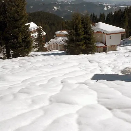 Aparthotel Forest Glade-апартаменти и за гости