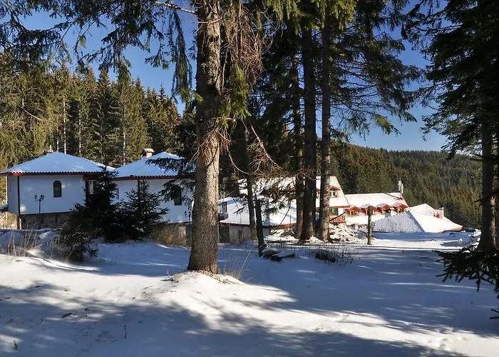 Forest Glade-апартаменти и за гости 3* パンポロボ