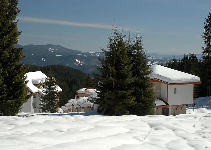 Forest Glade-апартаменти и за гости パンポロボ